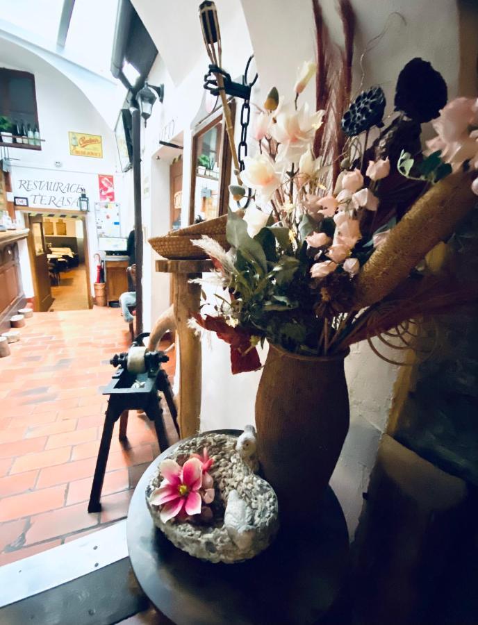 Kristinka Hotel Český Krumlov Buitenkant foto